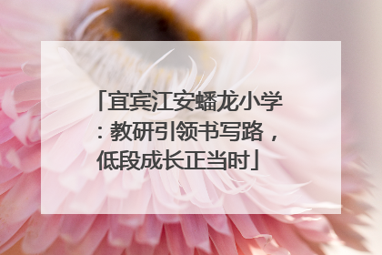 宜宾江安蟠龙小学：教研引领书写路，低段成长正当时
